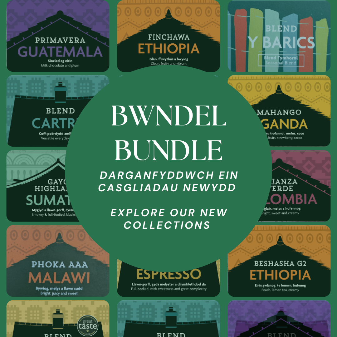 Explore Bundle
