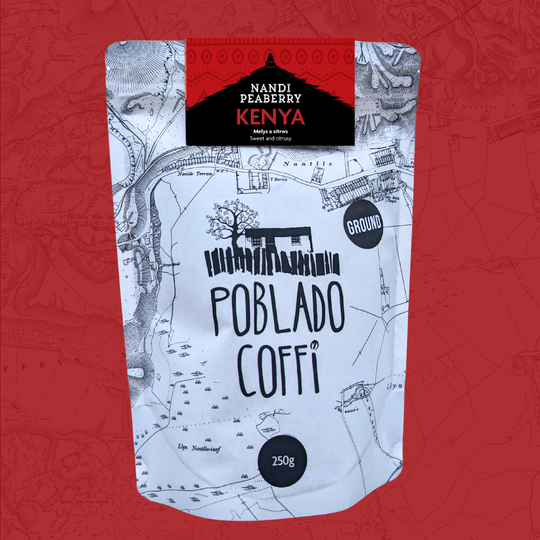 Kenya Priory Farm Peaberry