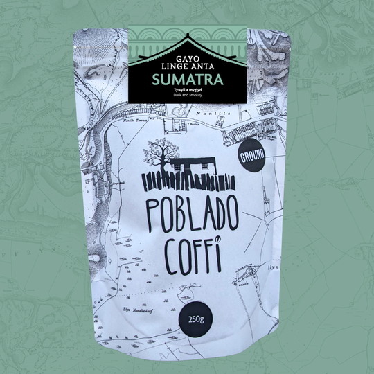 Sumatra Gayo Linge Anta