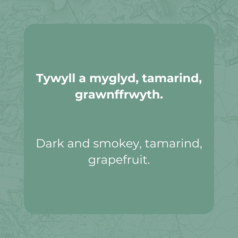 Sumatra Gayo Linge Anta